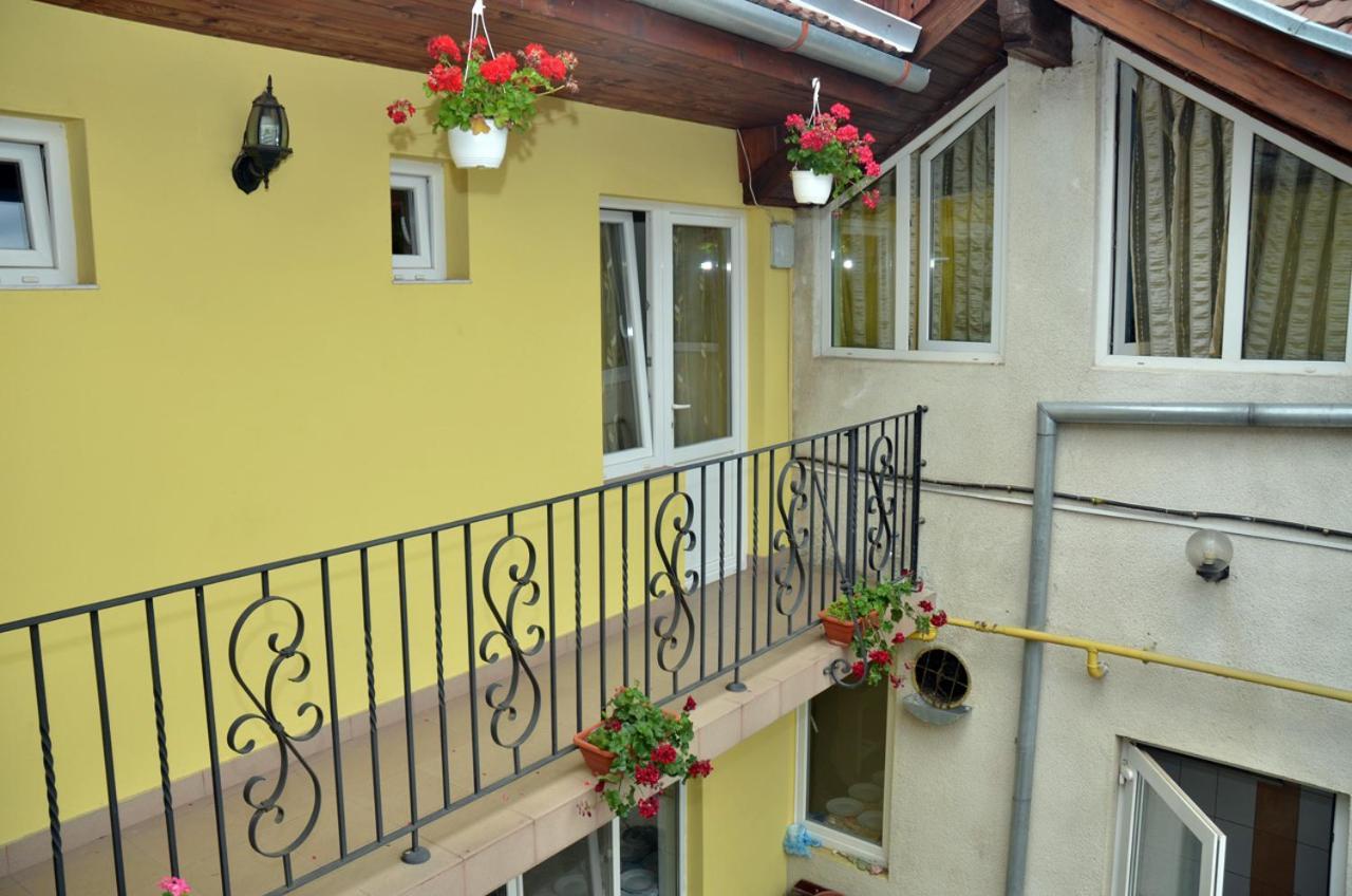 Pensiunea La Palaguta Baia Mare Exterior photo