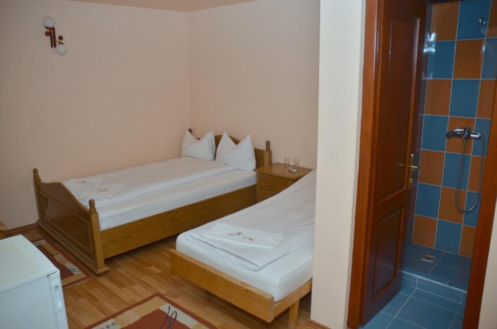 Pensiunea La Palaguta Baia Mare Room photo
